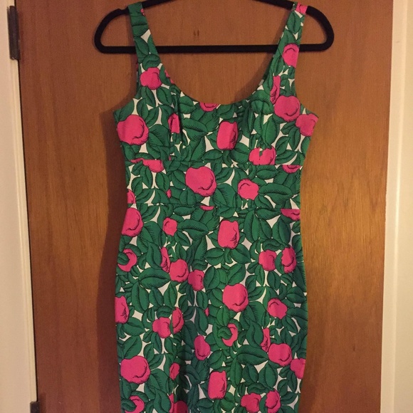 Diane Von Furstenberg Dresses & Skirts - Diane von Furstenberg apple print dress